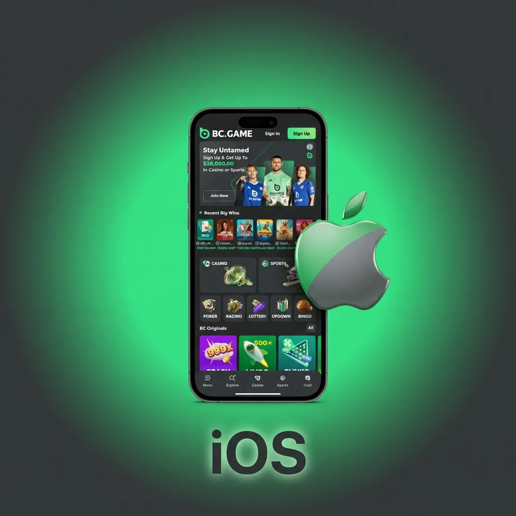 iPhone home screen showing BC Game mobile site shortcut icon with Safari browser in background