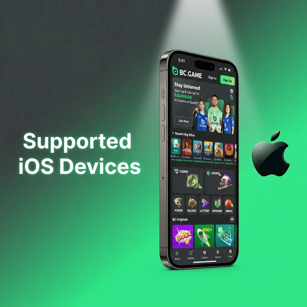 List of compatible iPhone and iPad models for BC Game PWA, including iPhone 12-15 series and recent iPad versions